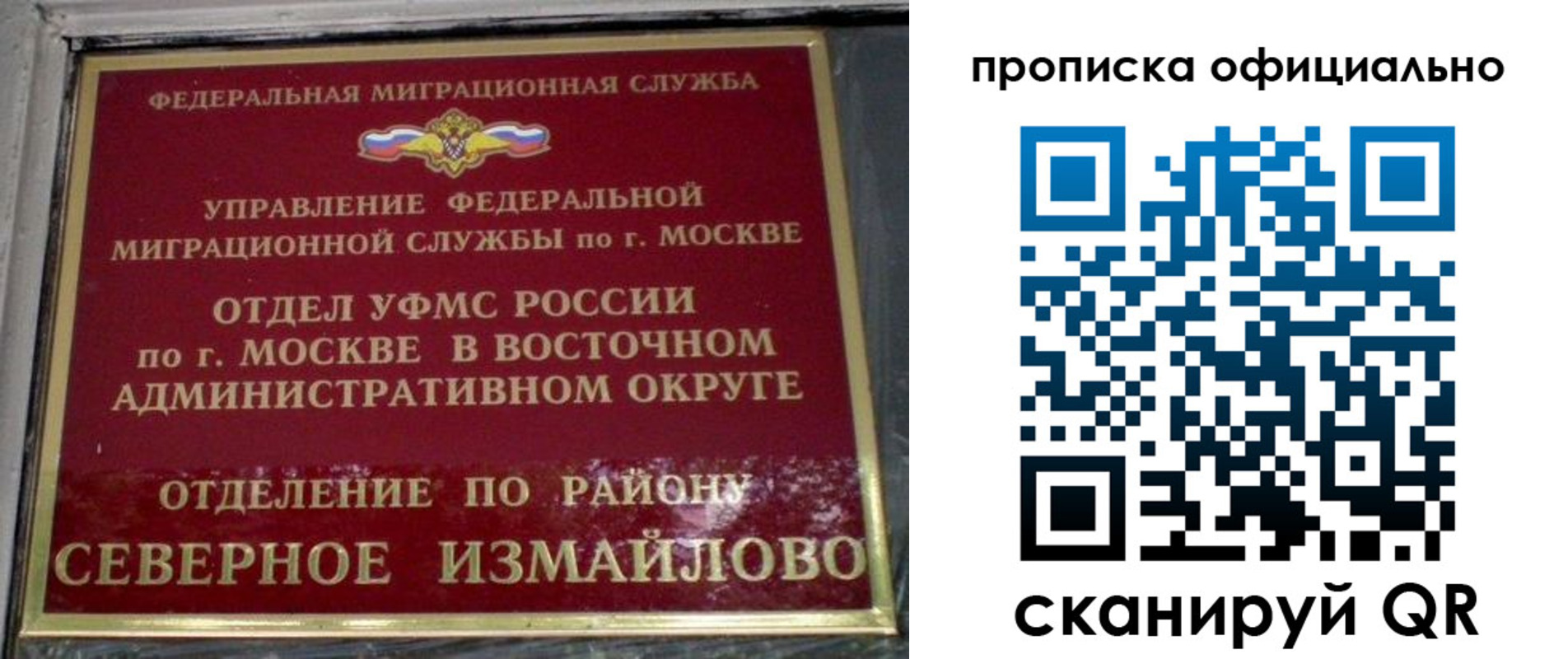 временная регистрация поиск в Амурской области